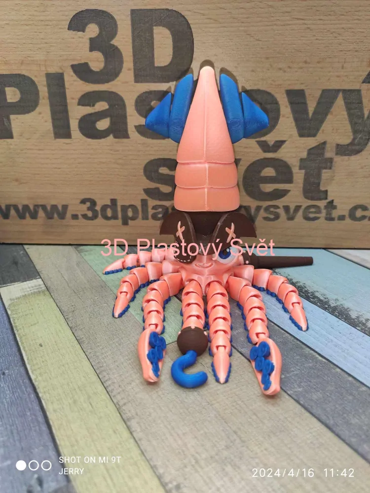 Chobotnicový pirát