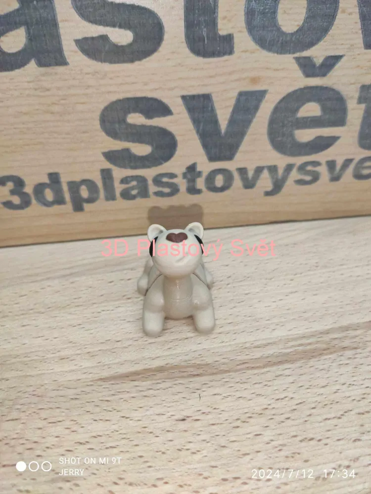 Malý velbloud