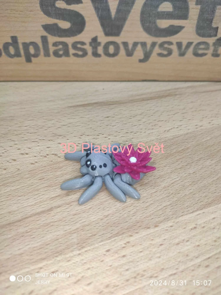 Malý pavouček s leknínem - hýbací - barevný