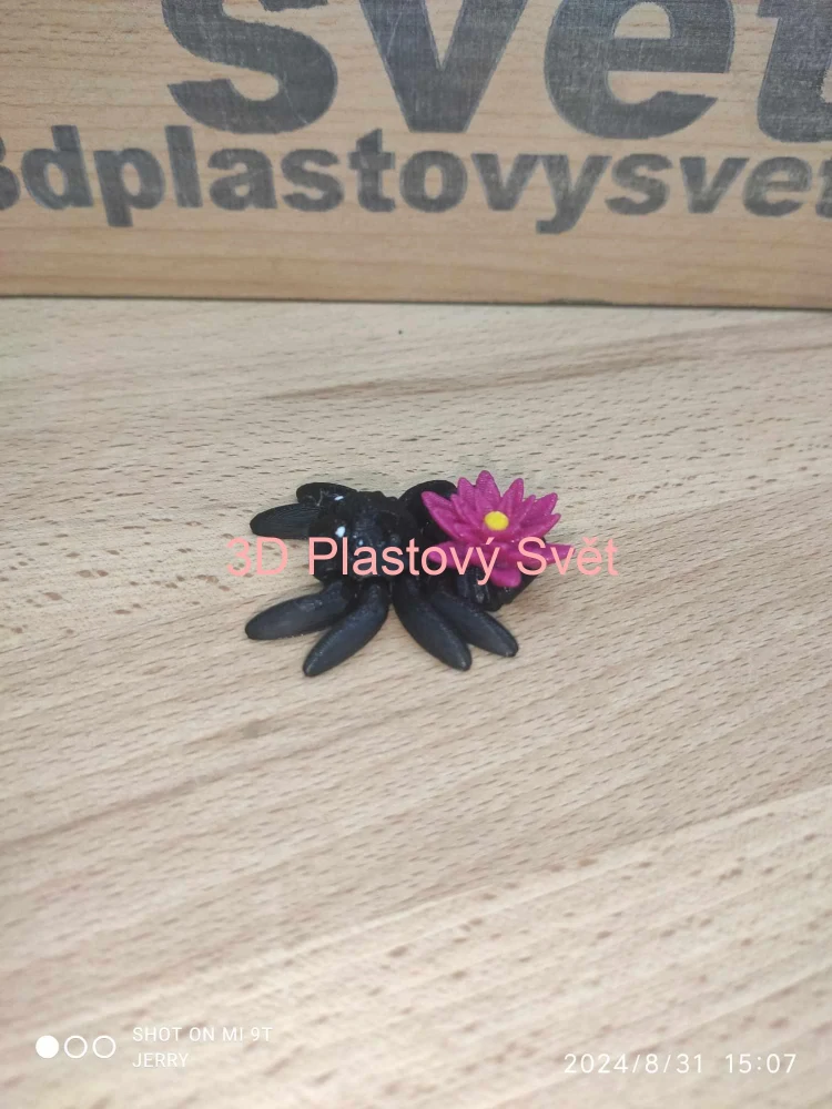 Malý pavouček s leknínem - hýbací - barevný