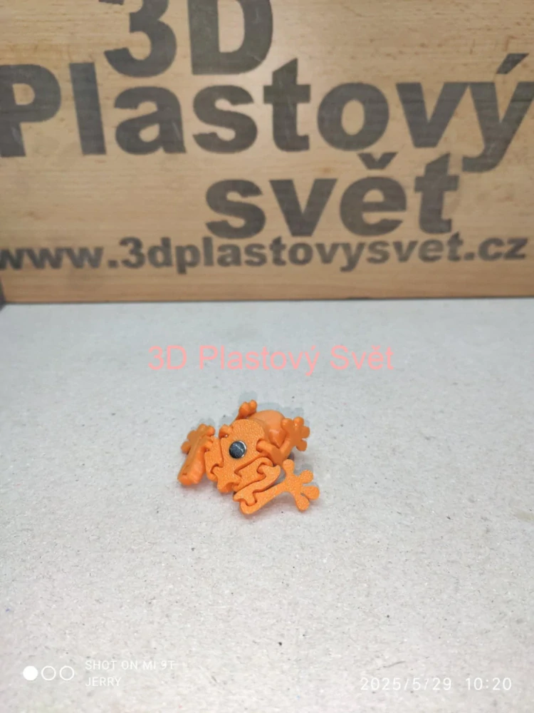 Jedovatá malá žabka - magnetka
