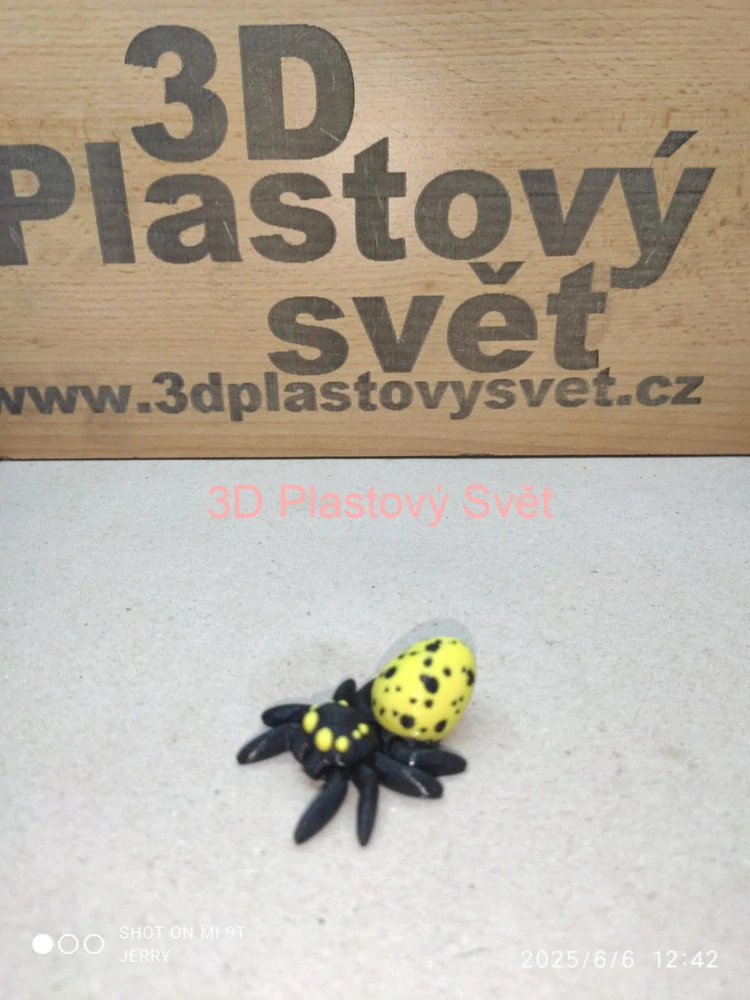 Malý pavouček s vajíčkem
