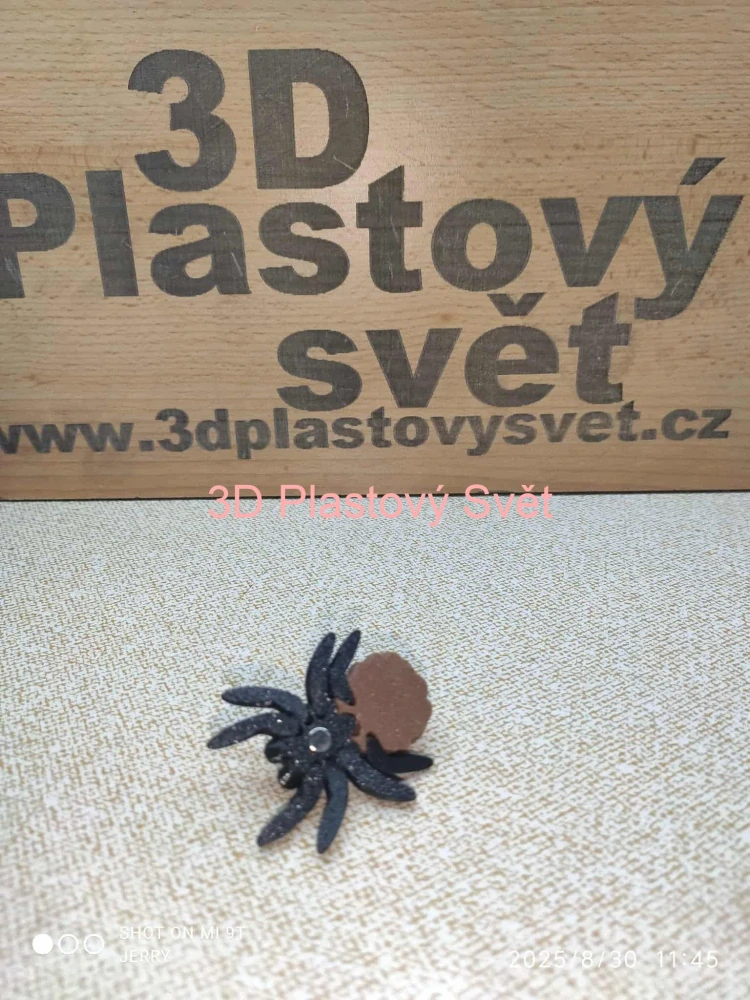 Malý pavouček se šiškou - magnetka