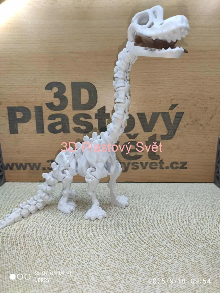 Kostra Brachiosaura