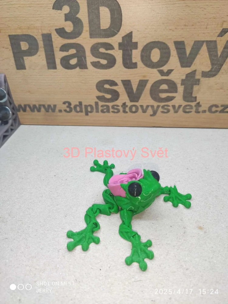 Žabička s růží