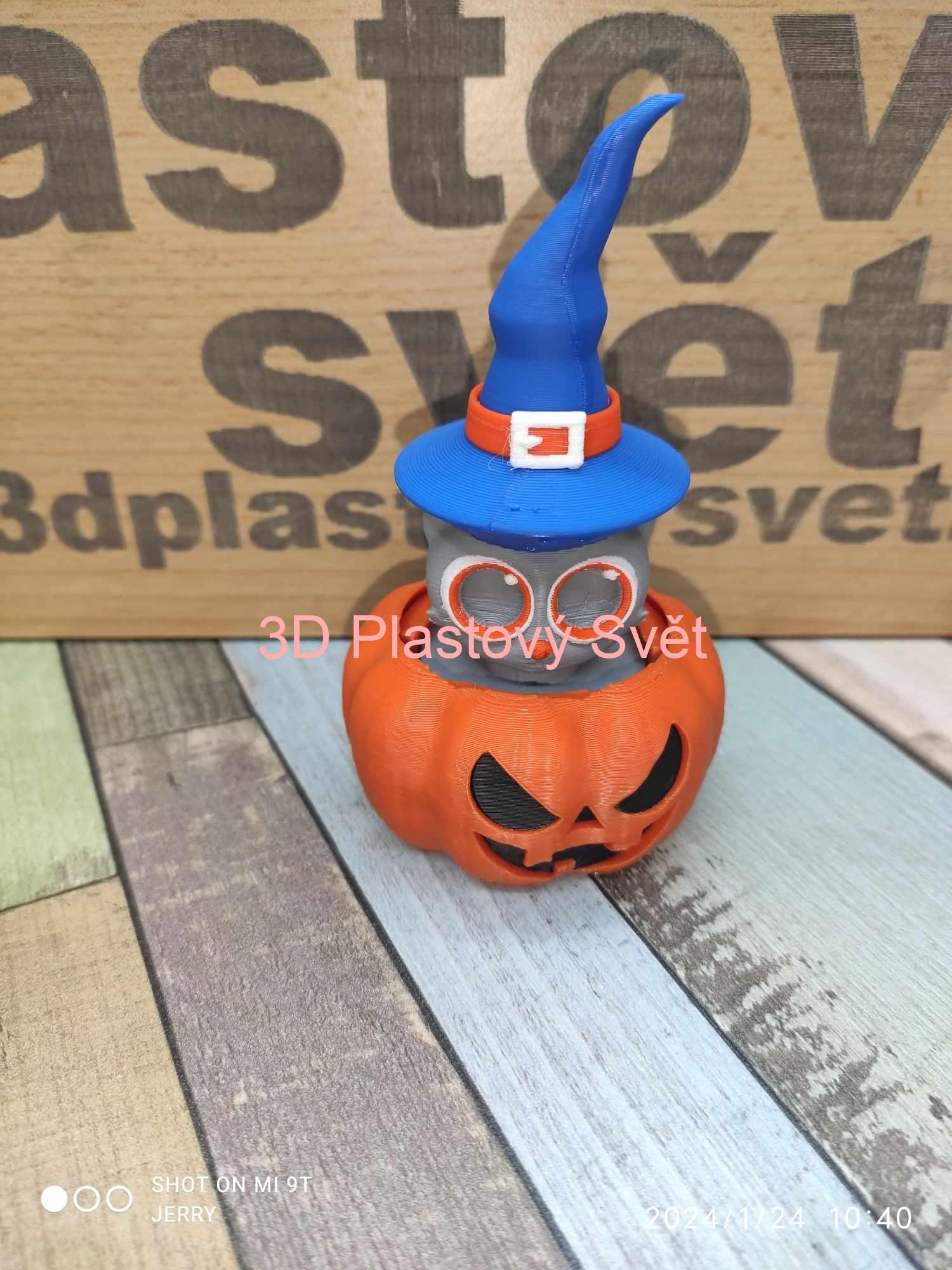 Kočka v dýni