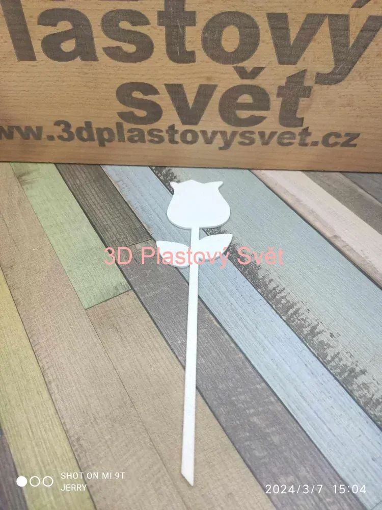 Tulipán - 2D - barevný - zápich