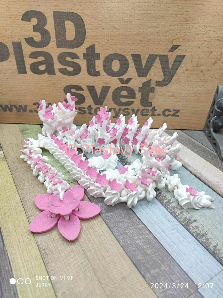 Drak s třešňovými květy