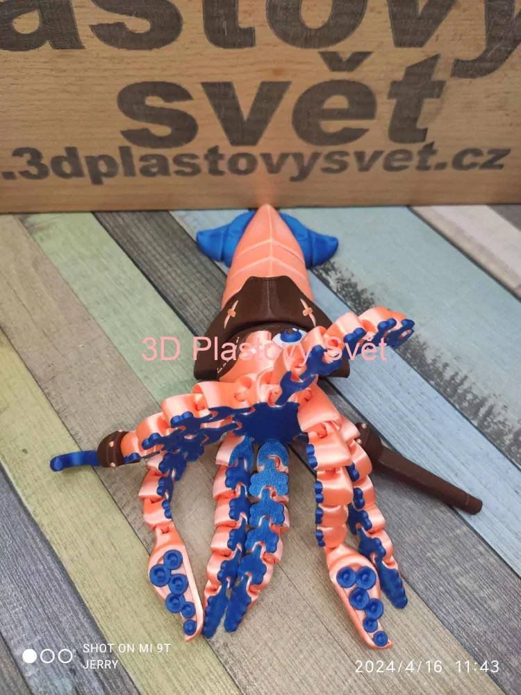 Chobotnicový pirát