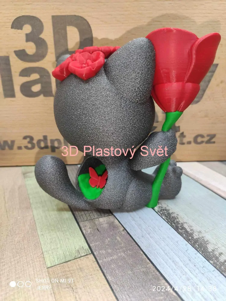 Kočka s růží - barevný