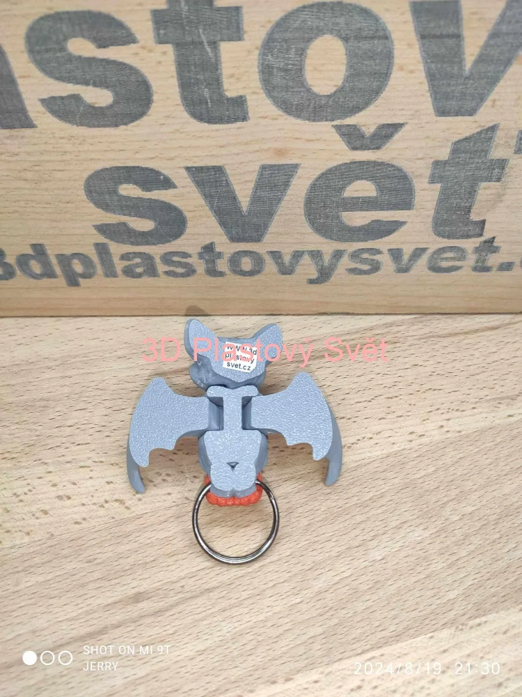 Netopýr - Postavička