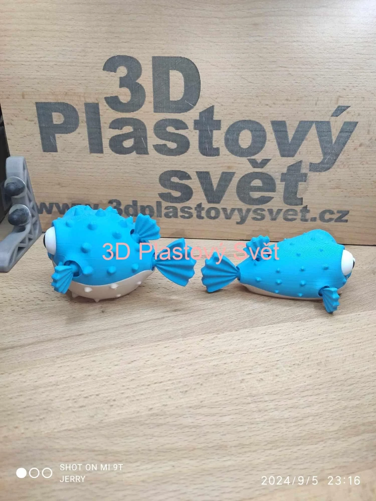 Naštvaná puffer ryba