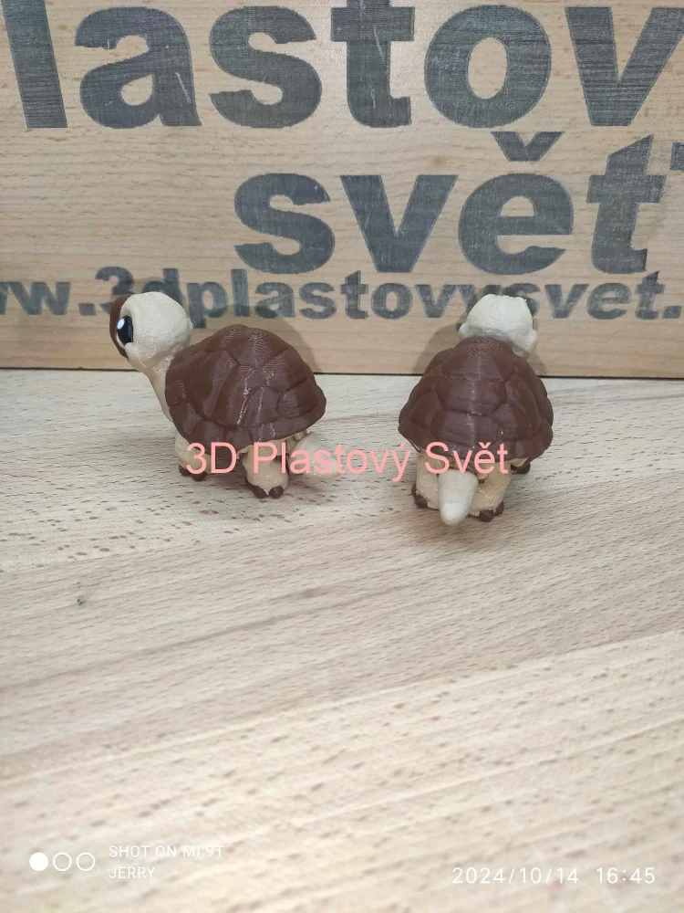 Malá želvička - Postavička