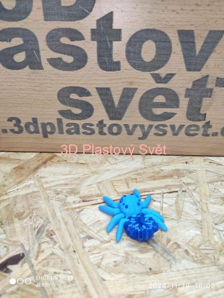 Malý pavouček se sněhovou vločkou