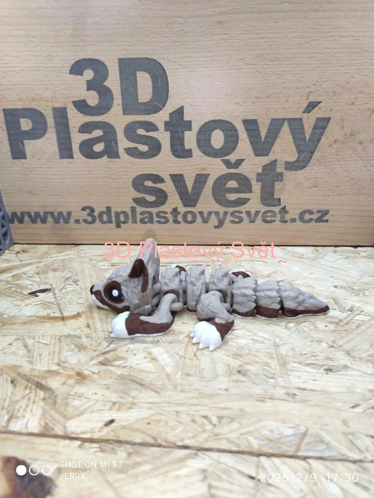 Malý vlčí drak