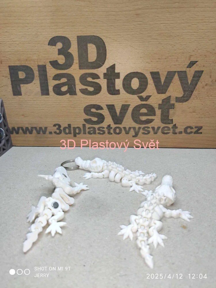 Kostra krokodýla - magnetka