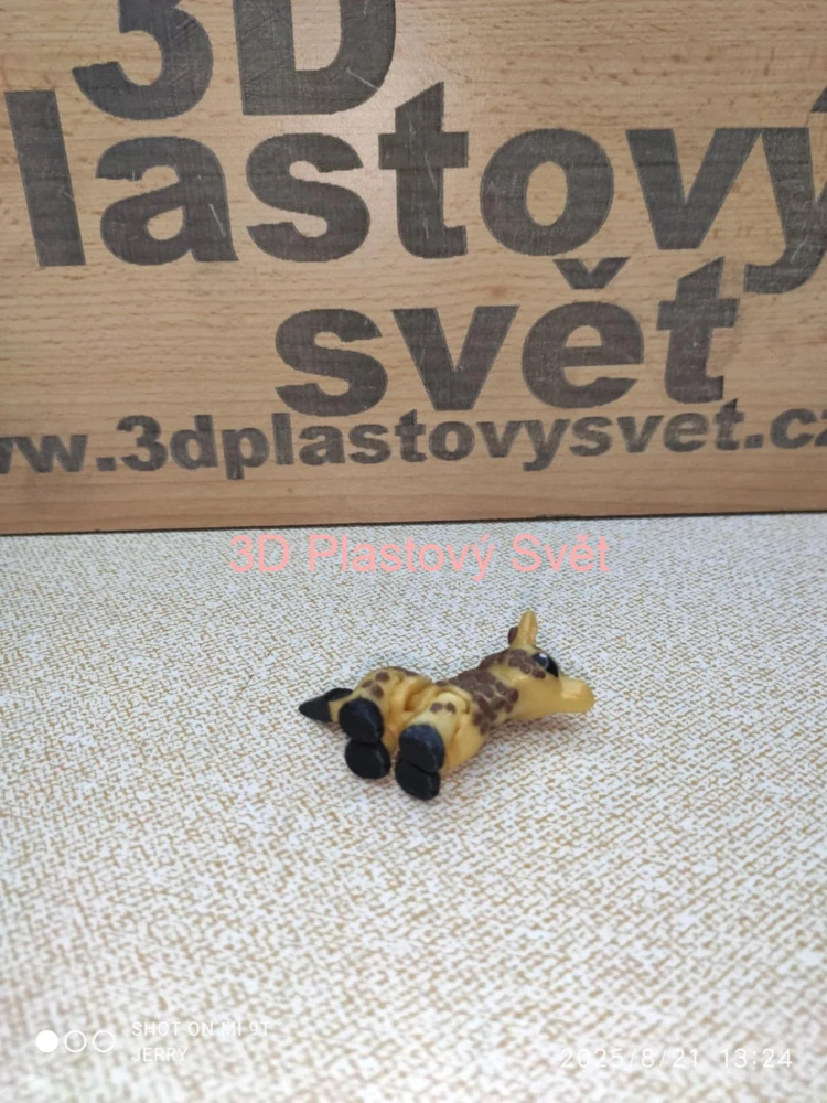 Malá žirafa