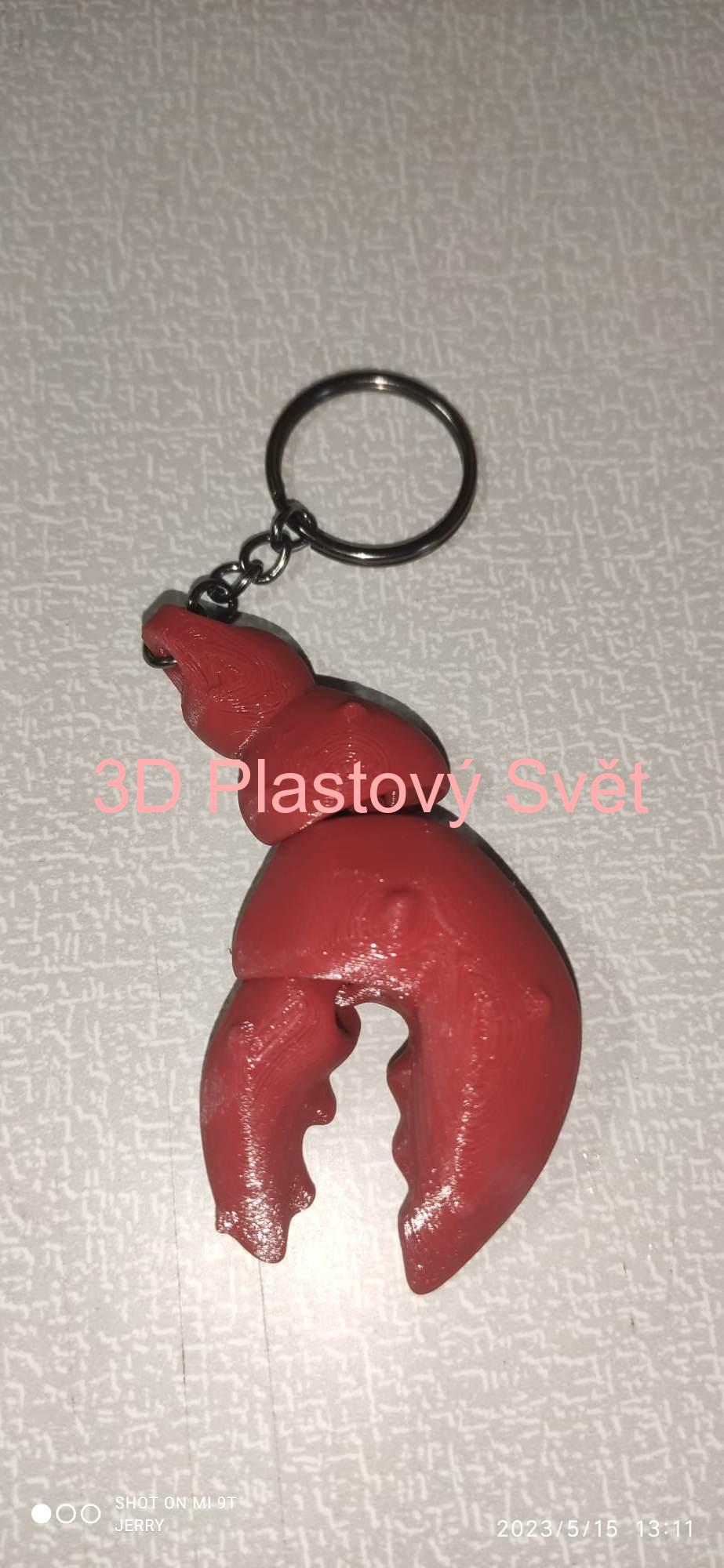 Klíčenka humří chapadlo