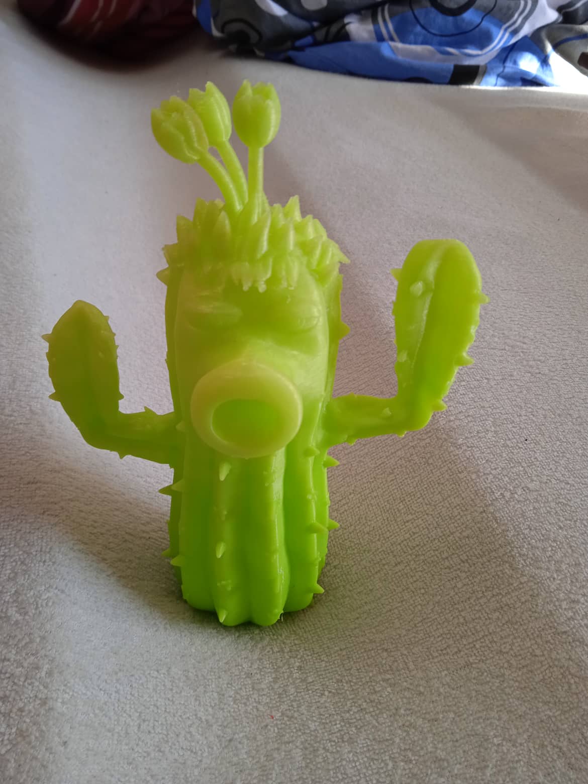 Kaktus