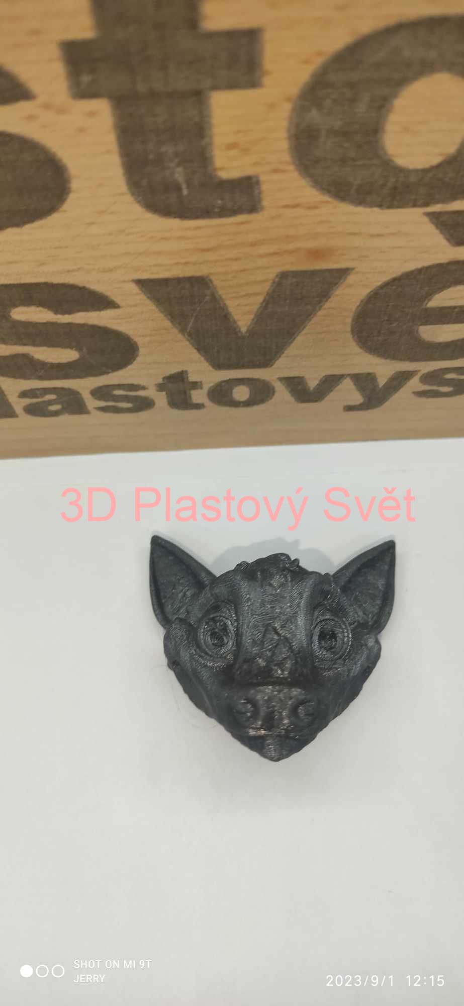 Netopýr/Kaloň hlava - magnetka