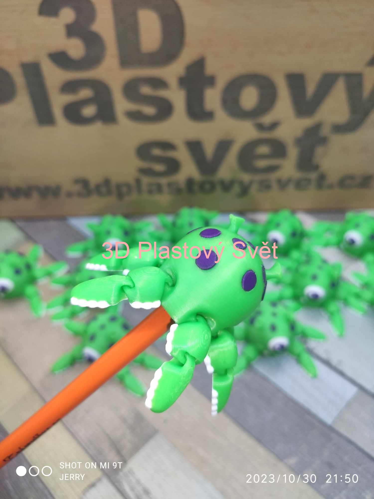 Chobotnice na tužku