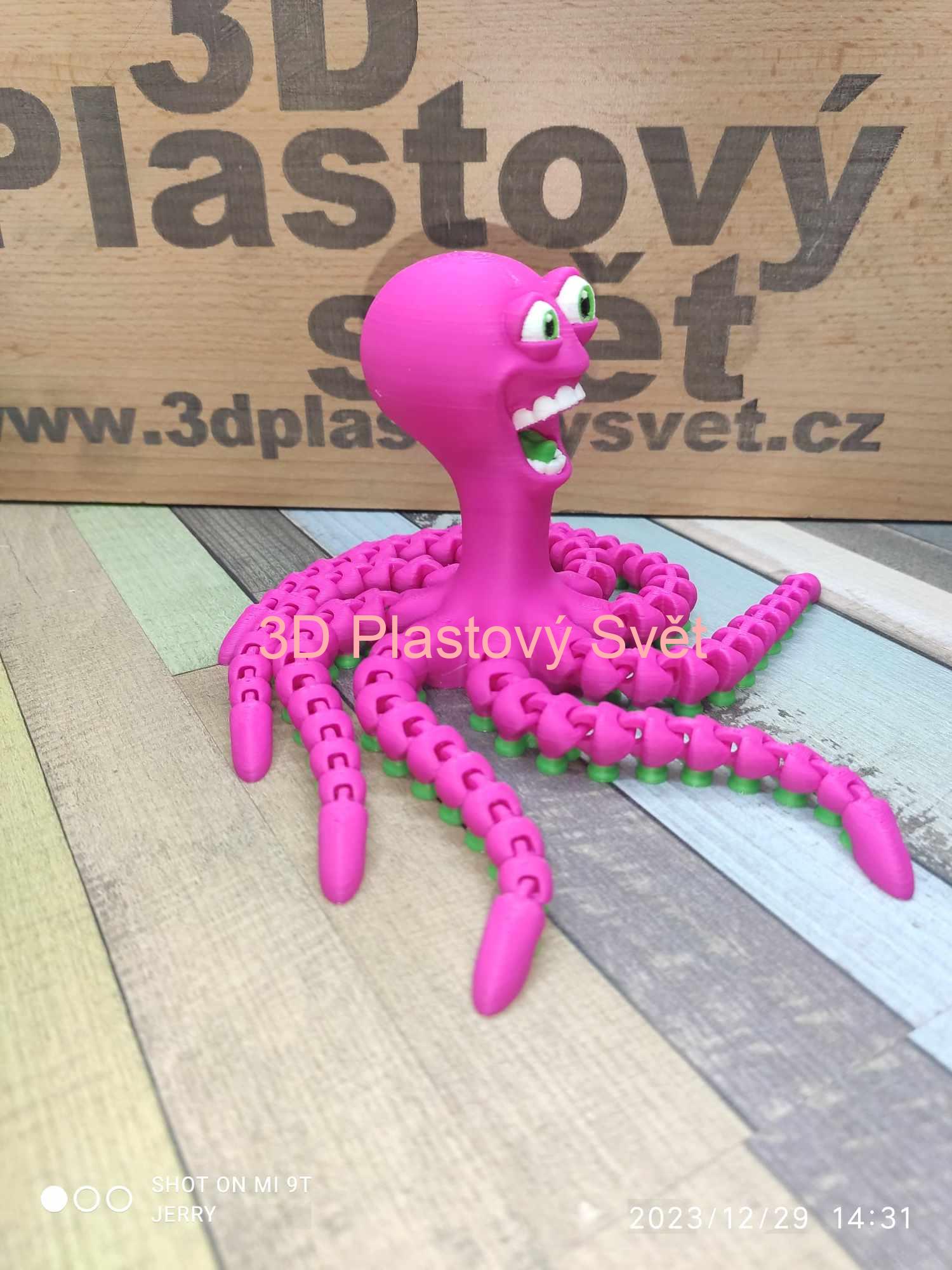 Vysmátá chobotnice