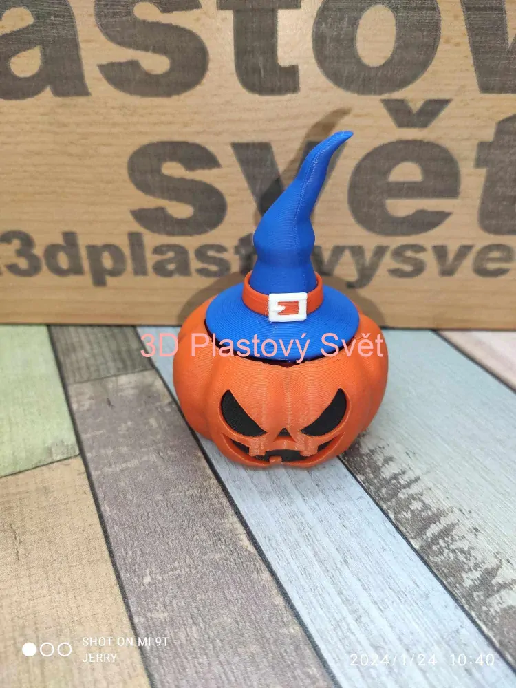 Kočka v dýni