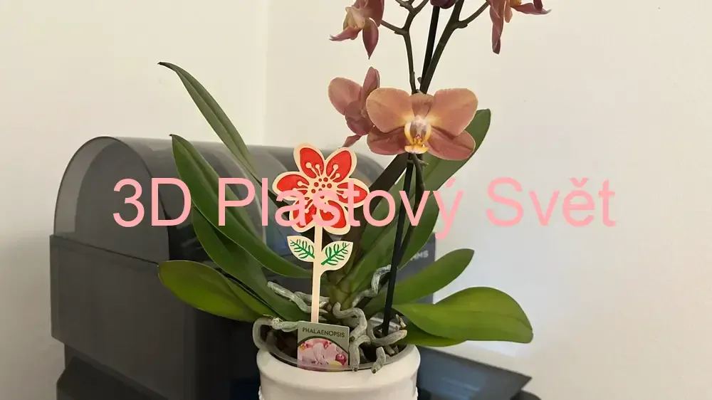 Orchidej - 2D - barevný - zápich