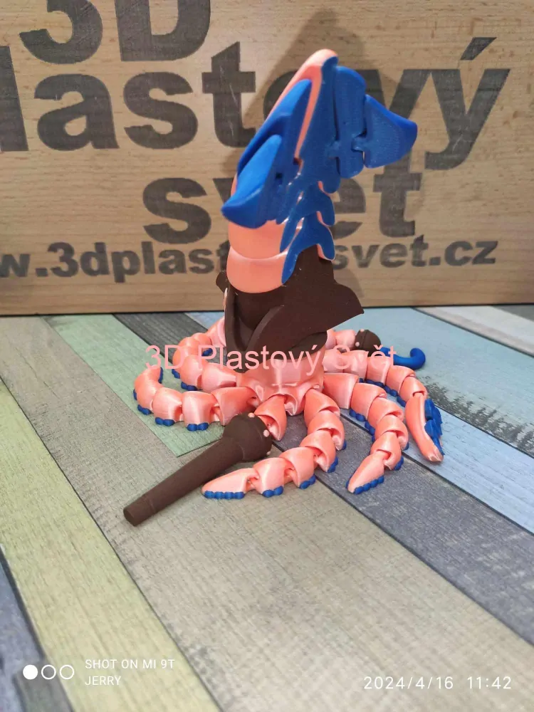 Chobotnicový pirát