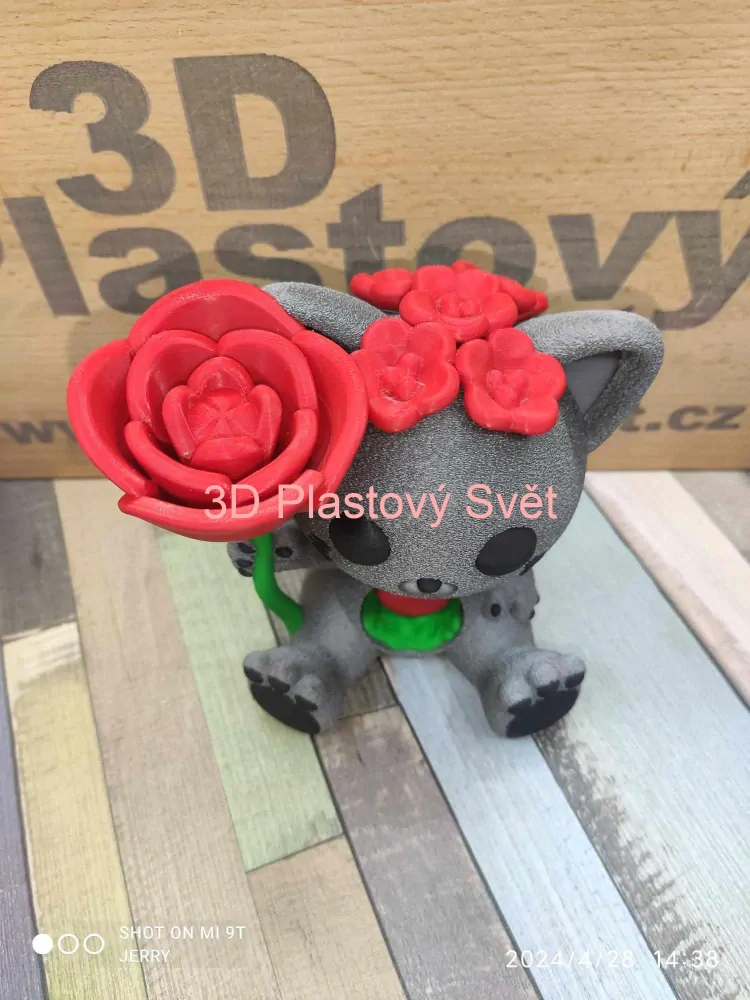 Kočka s růží - barevný