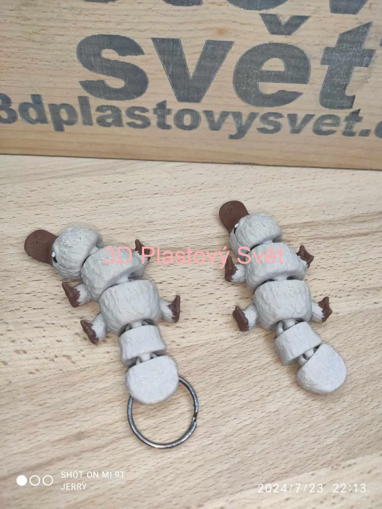 Ptakopysk - Postavička