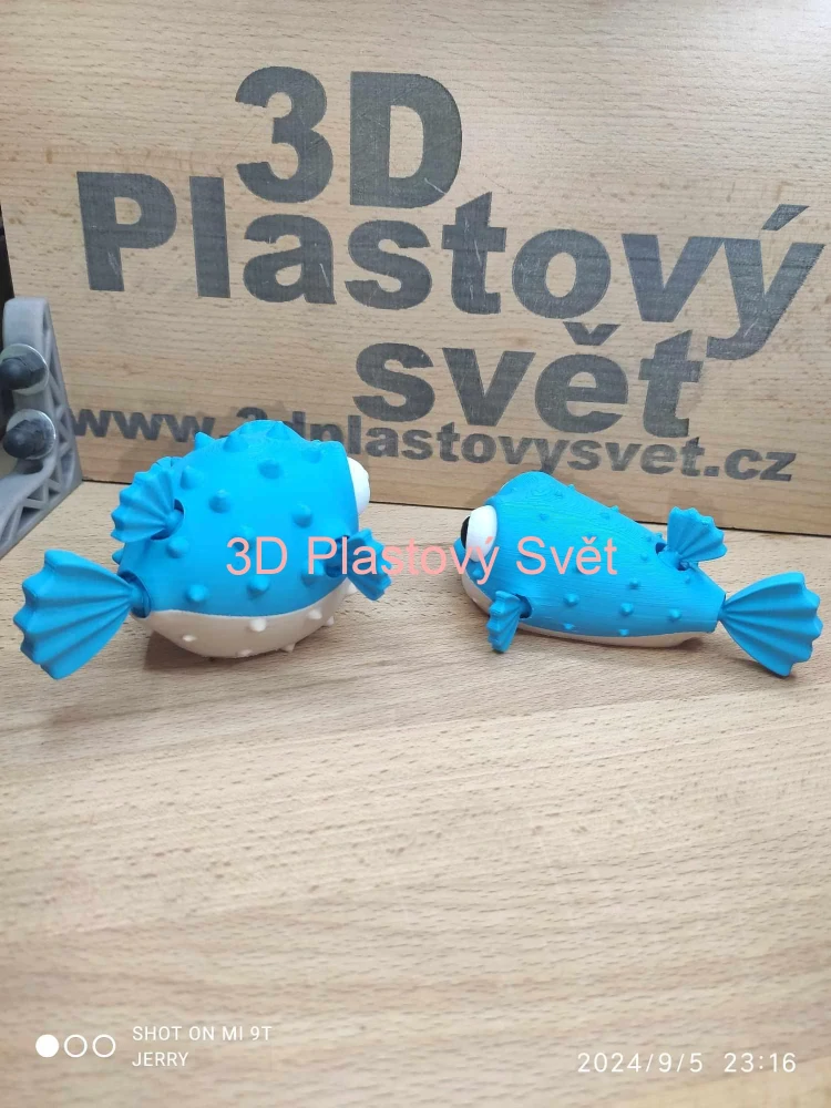 Naštvaná puffer ryba