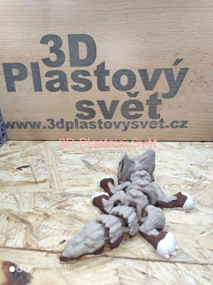 Malý vlčí drak