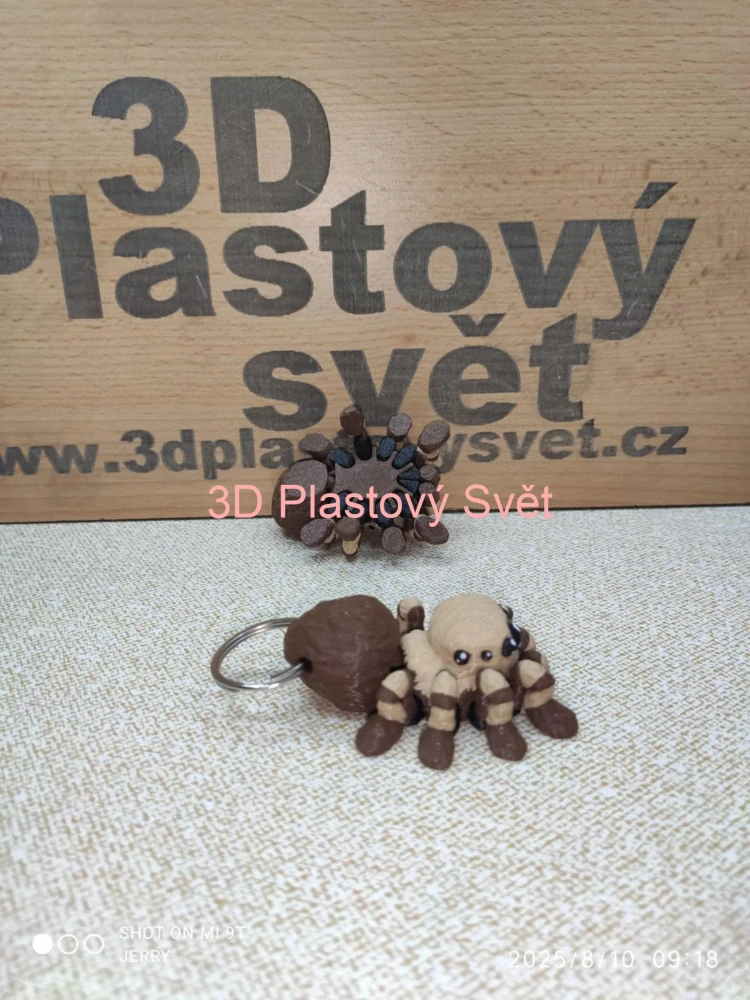 Malá tarantule - postavička