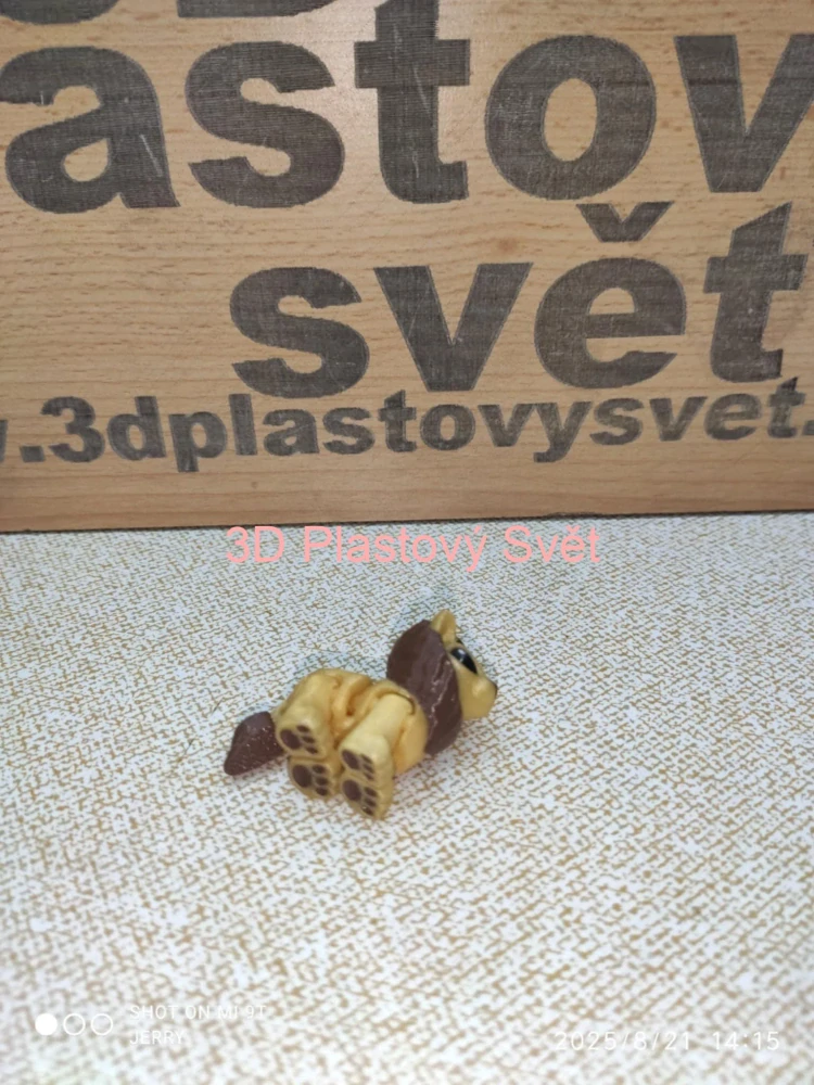 Malý lev
