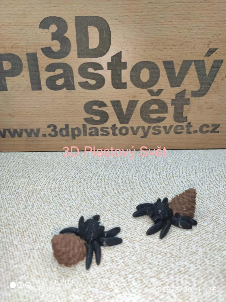 Malý pavouček se šiškou - postavička