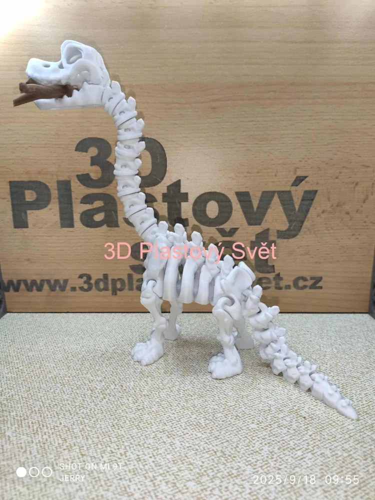 Kostra Brachiosaura