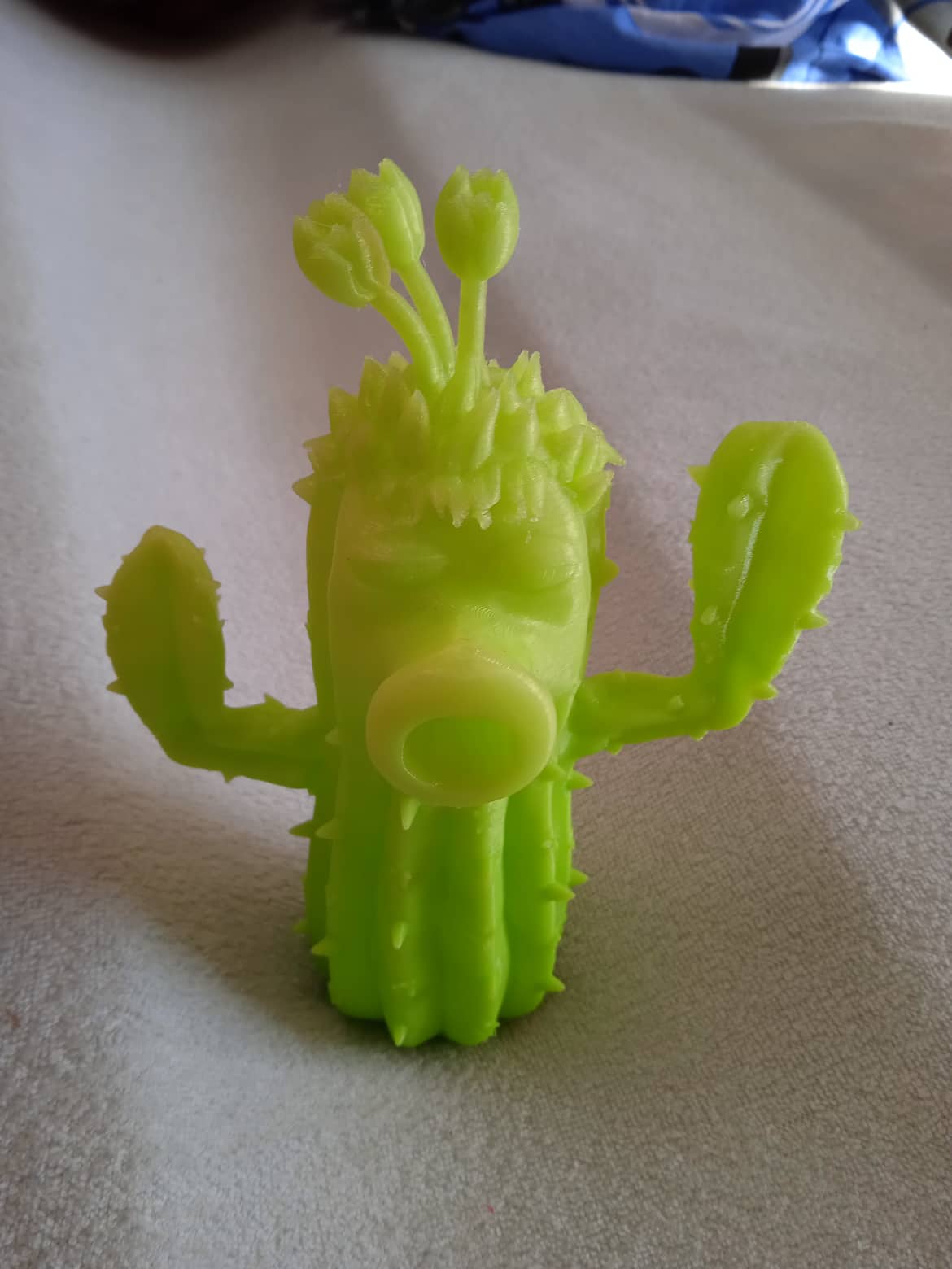 Kaktus