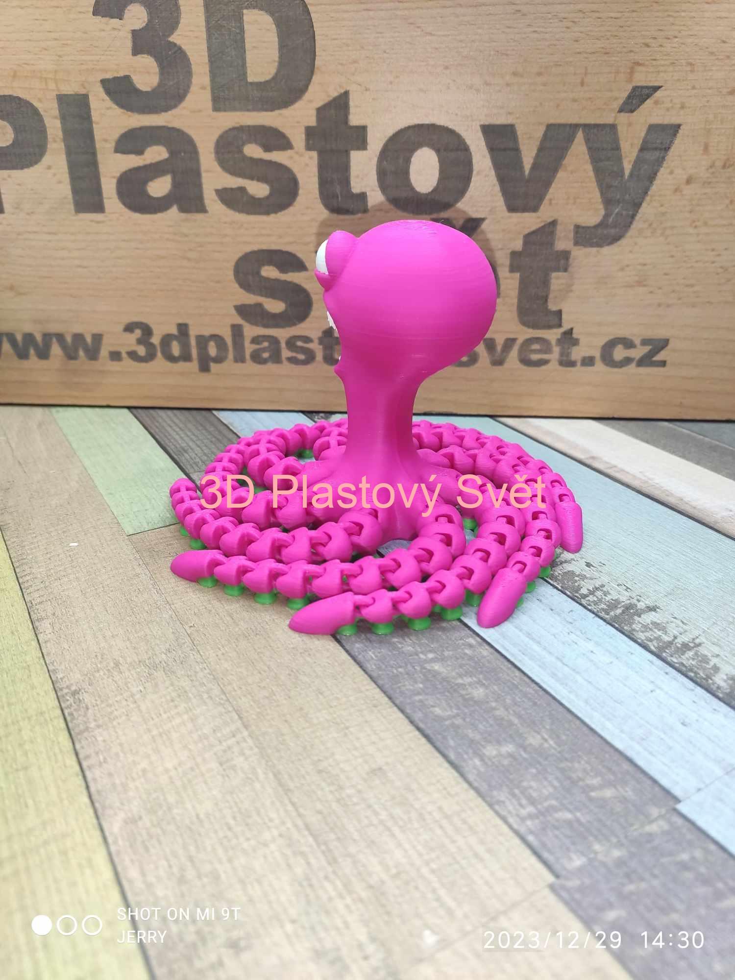 Vysmátá chobotnice