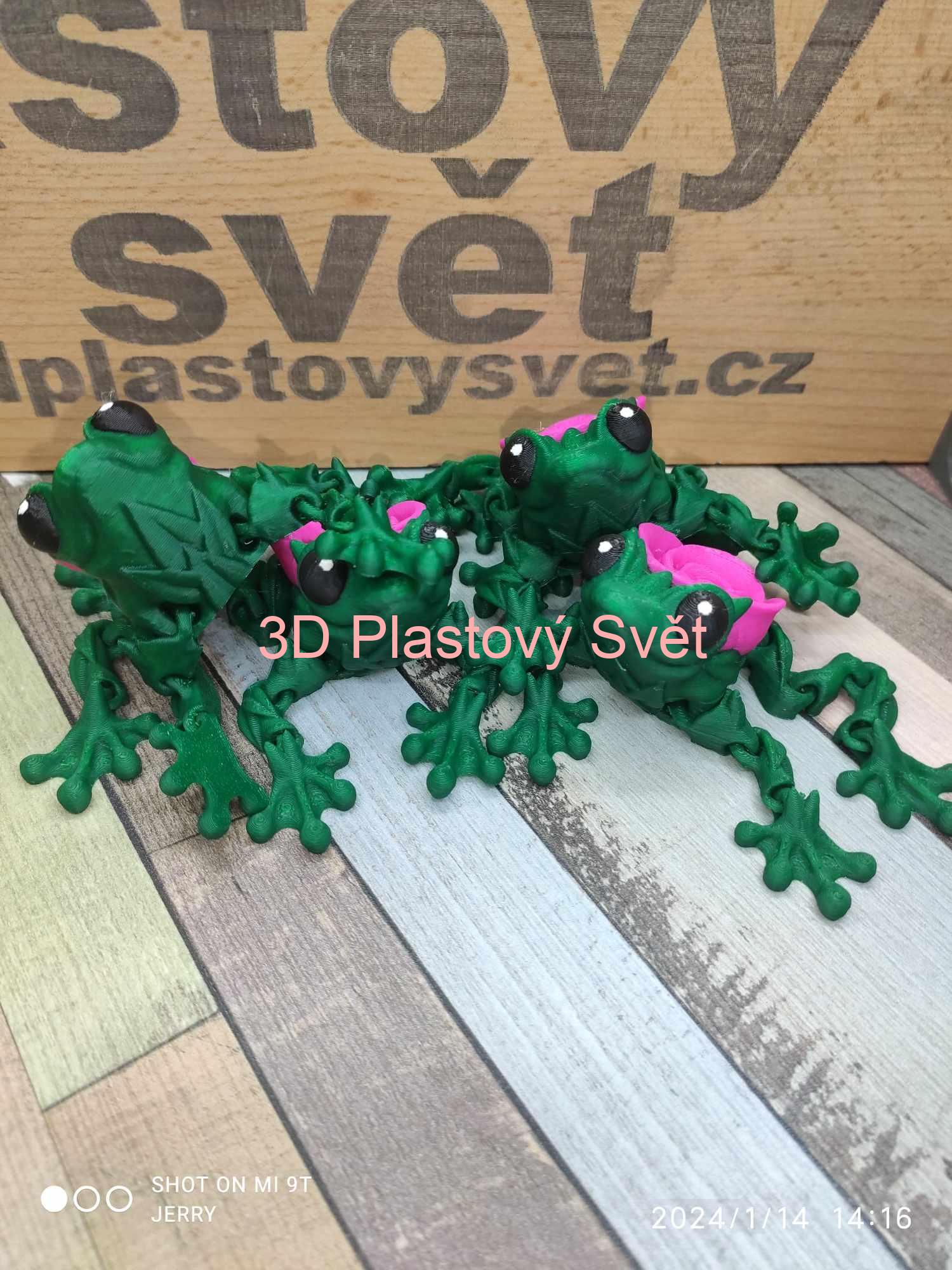 Žabička s růží