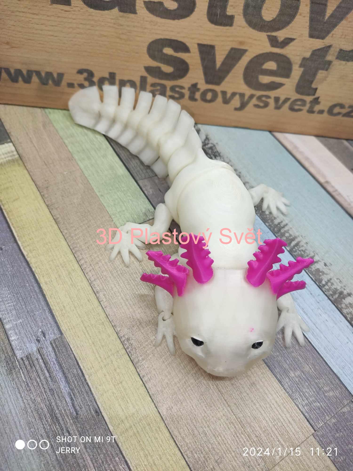 Vysmátý Axolotl