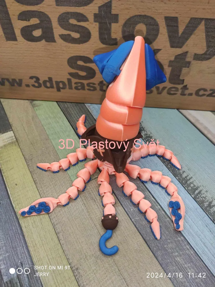 Chobotnicový pirát