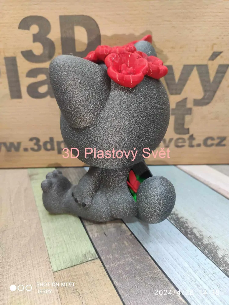 Kočka s růží - barevný