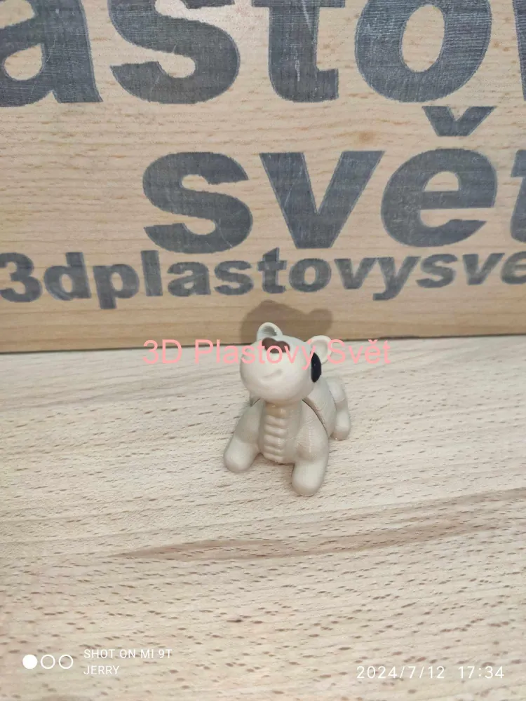 Malý velbloud