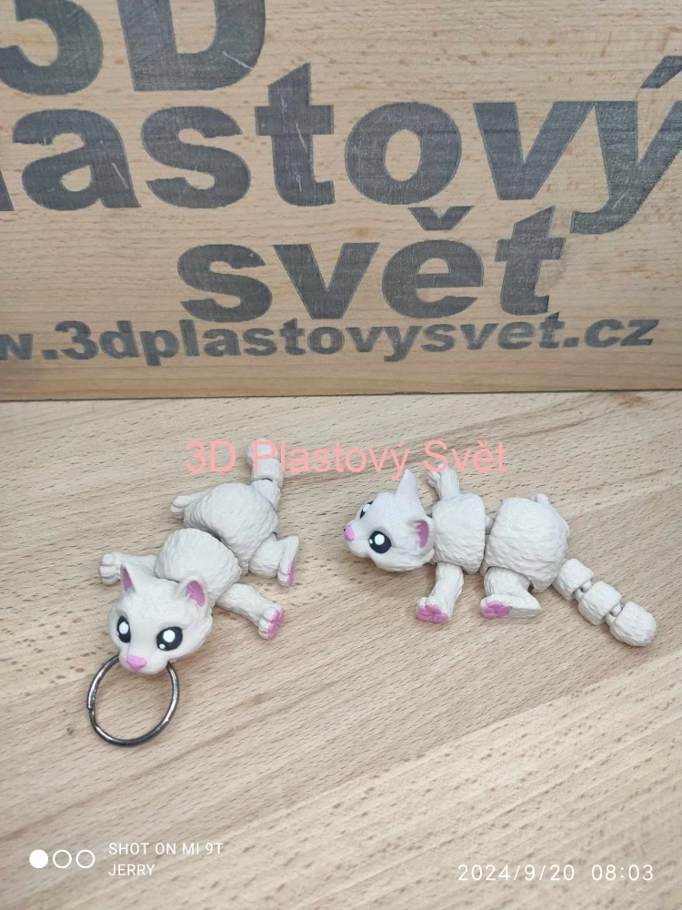 Kočička - postavička