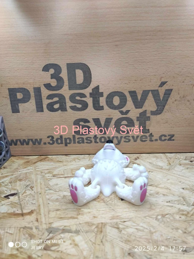 Malý lední medvěd