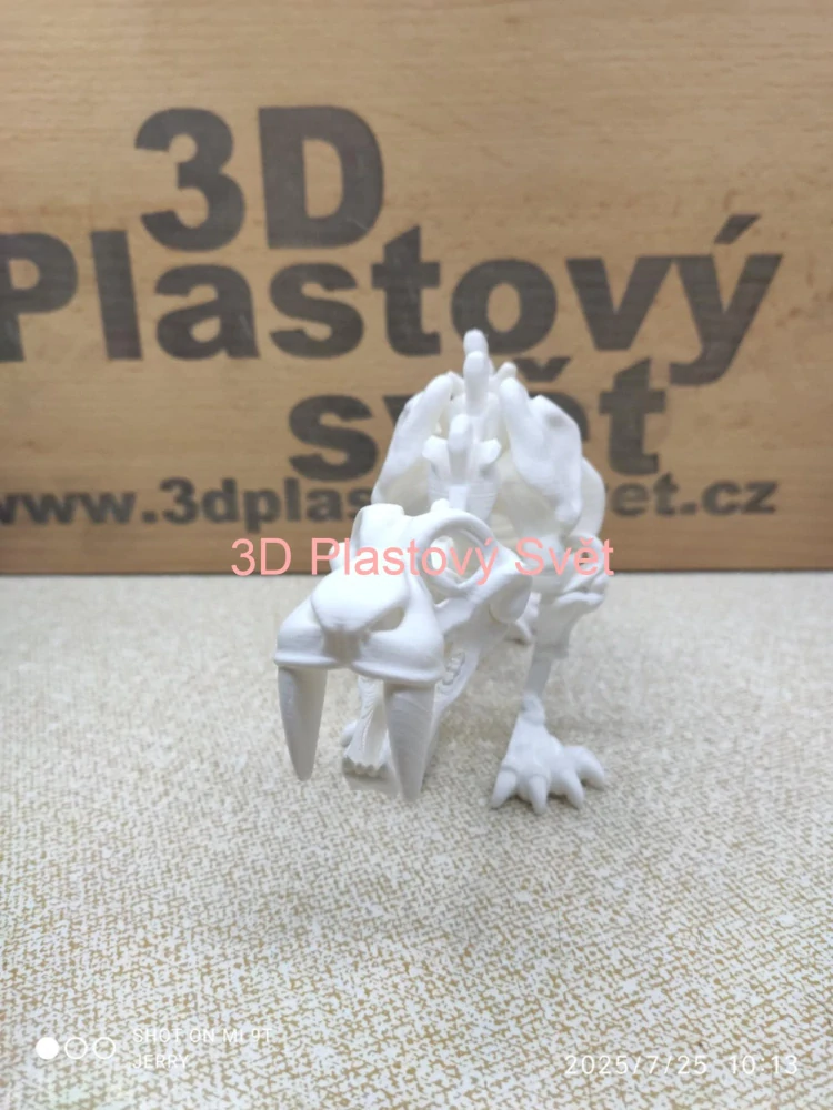 Kostra šavlozubého tygra