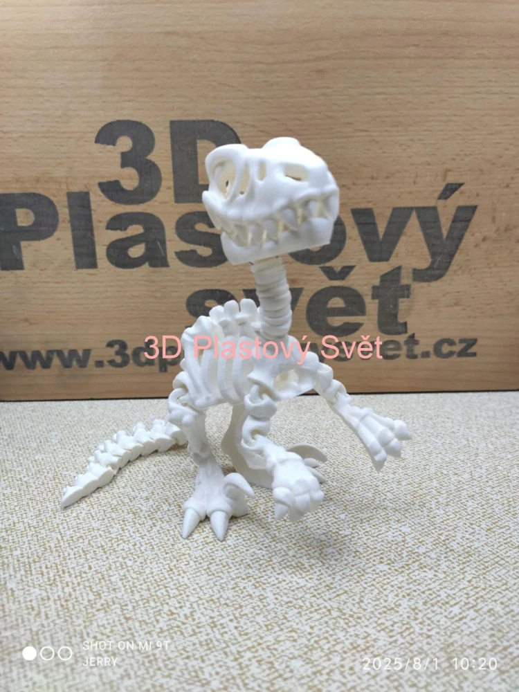 Kostra - Raptor