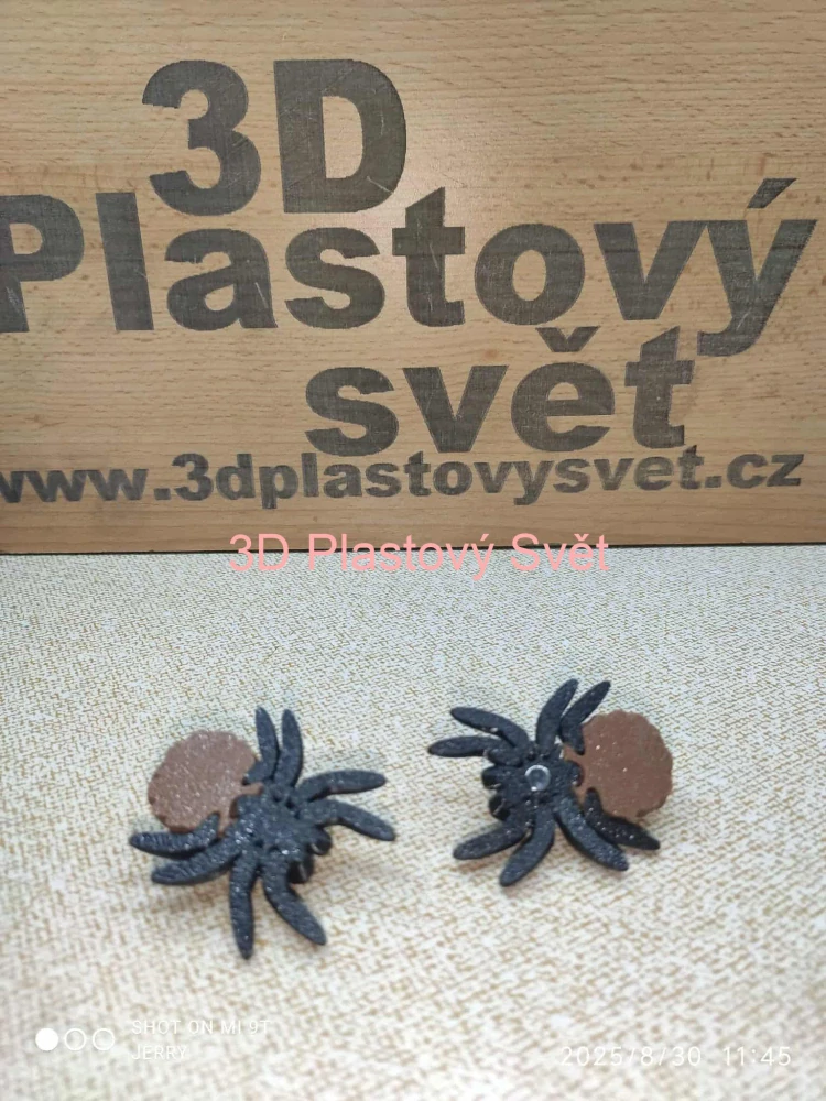 Malý pavouček se šiškou - postavička