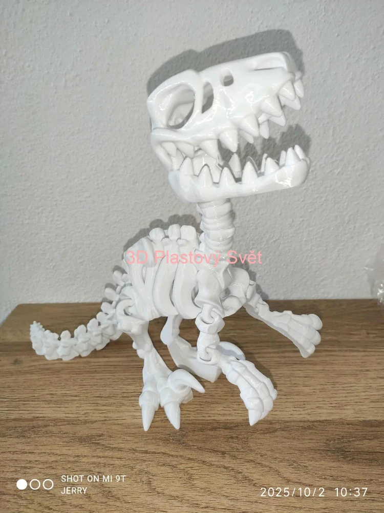 Kostra - Raptor - velký